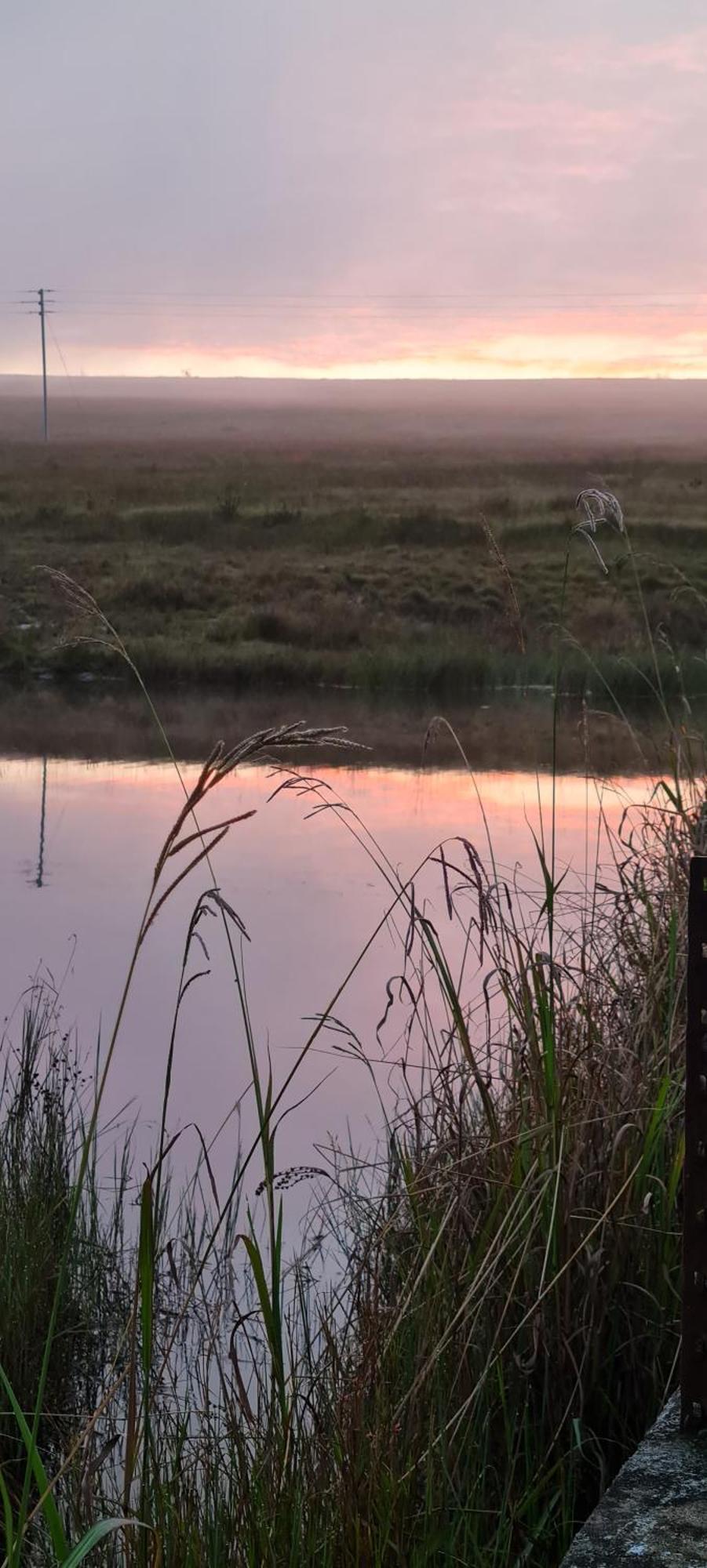 Mosswood Bed & Breakfast Graskop Eksteriør bilde