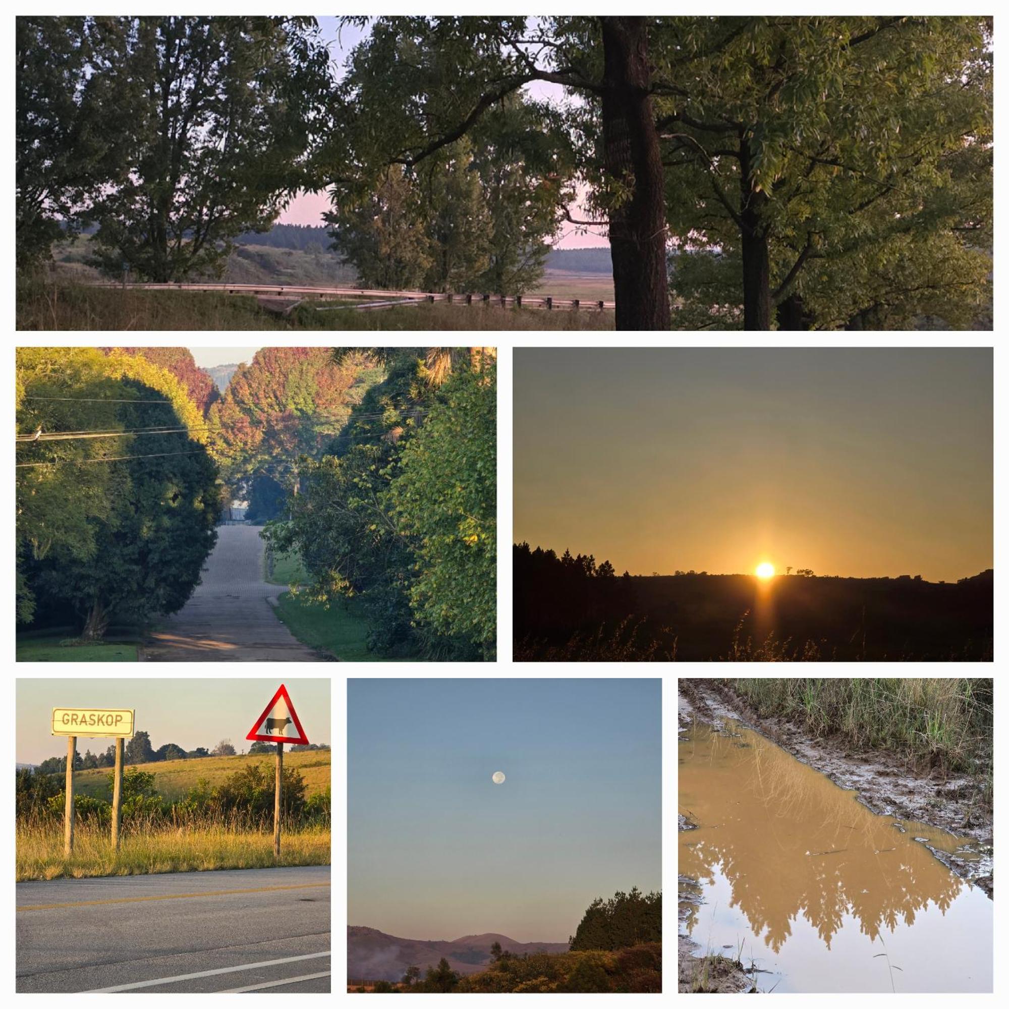 Mosswood Bed & Breakfast Graskop Eksteriør bilde