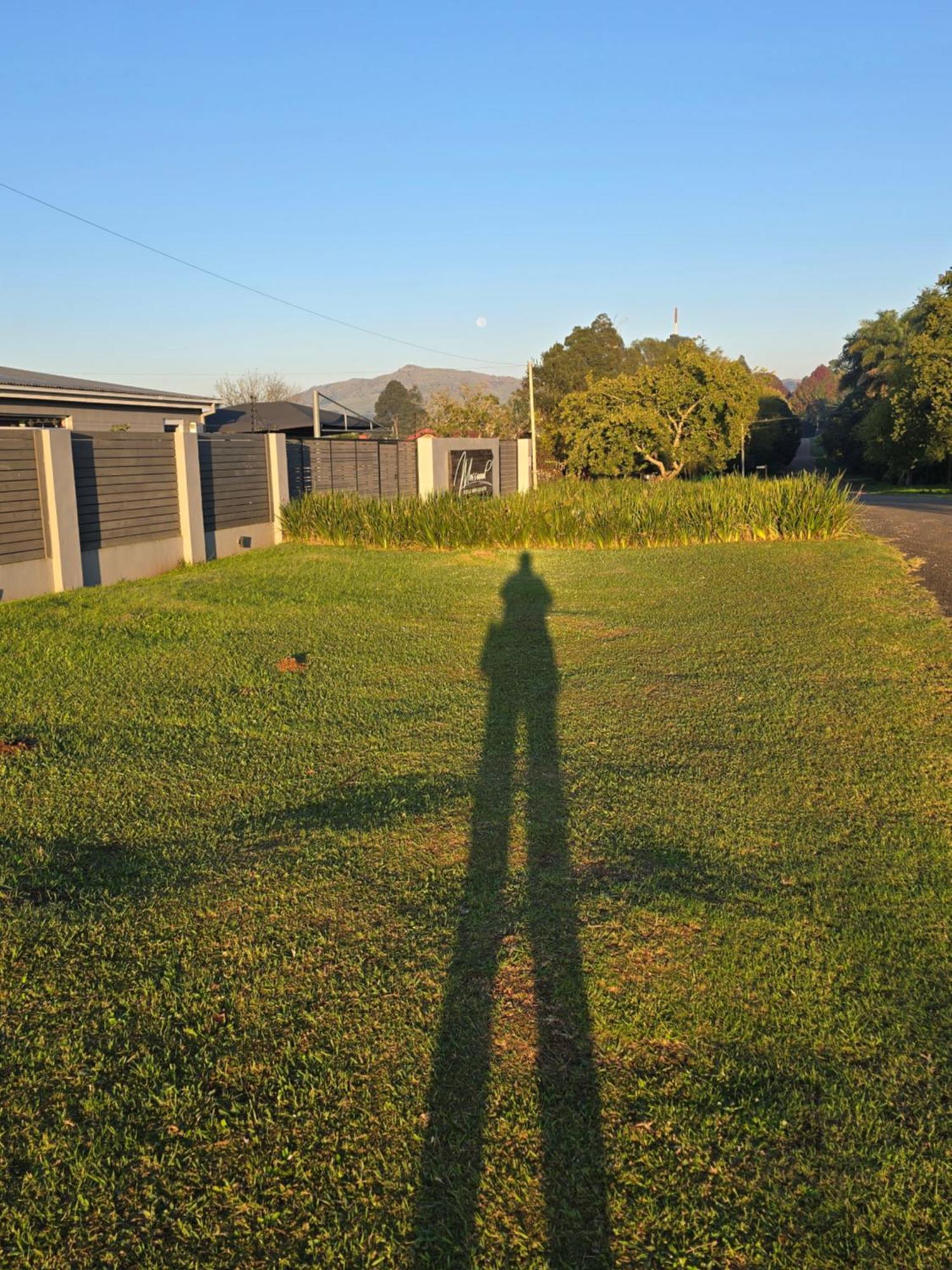 Mosswood Bed & Breakfast Graskop Eksteriør bilde