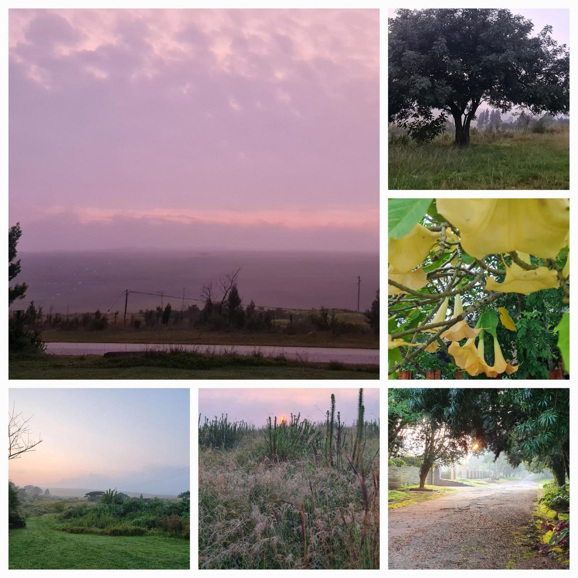Mosswood Bed & Breakfast Graskop Eksteriør bilde